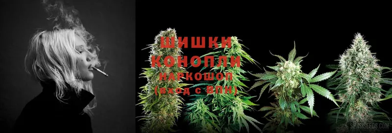 Марихуана White Widow  дарнет шоп  Шагонар 